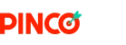 Logo www.pincoazerbaijan.in.net